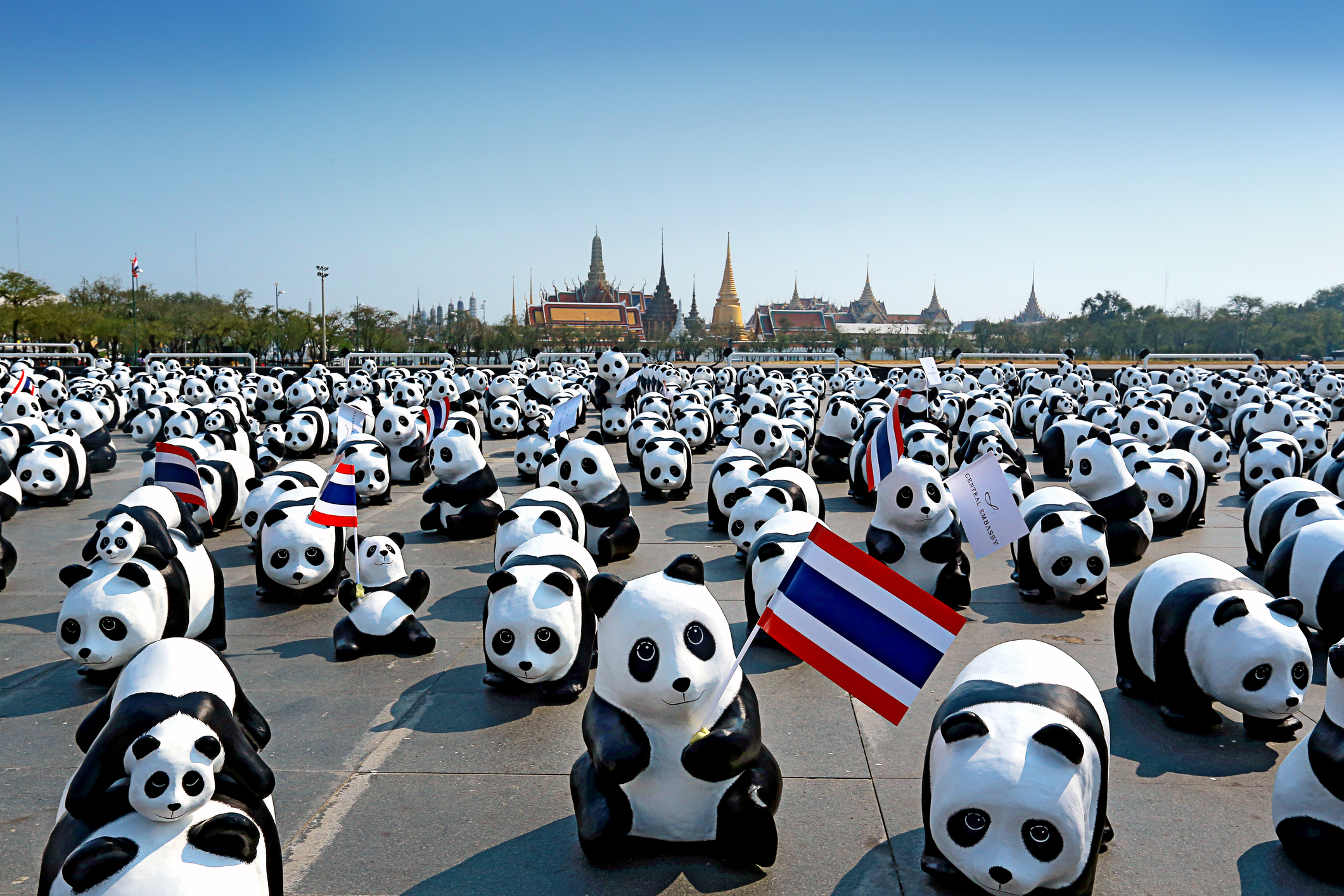 A campaign of 1600 pandas to promote environmental preservation at Sanam Luang Bangkok in 2016 by WWF