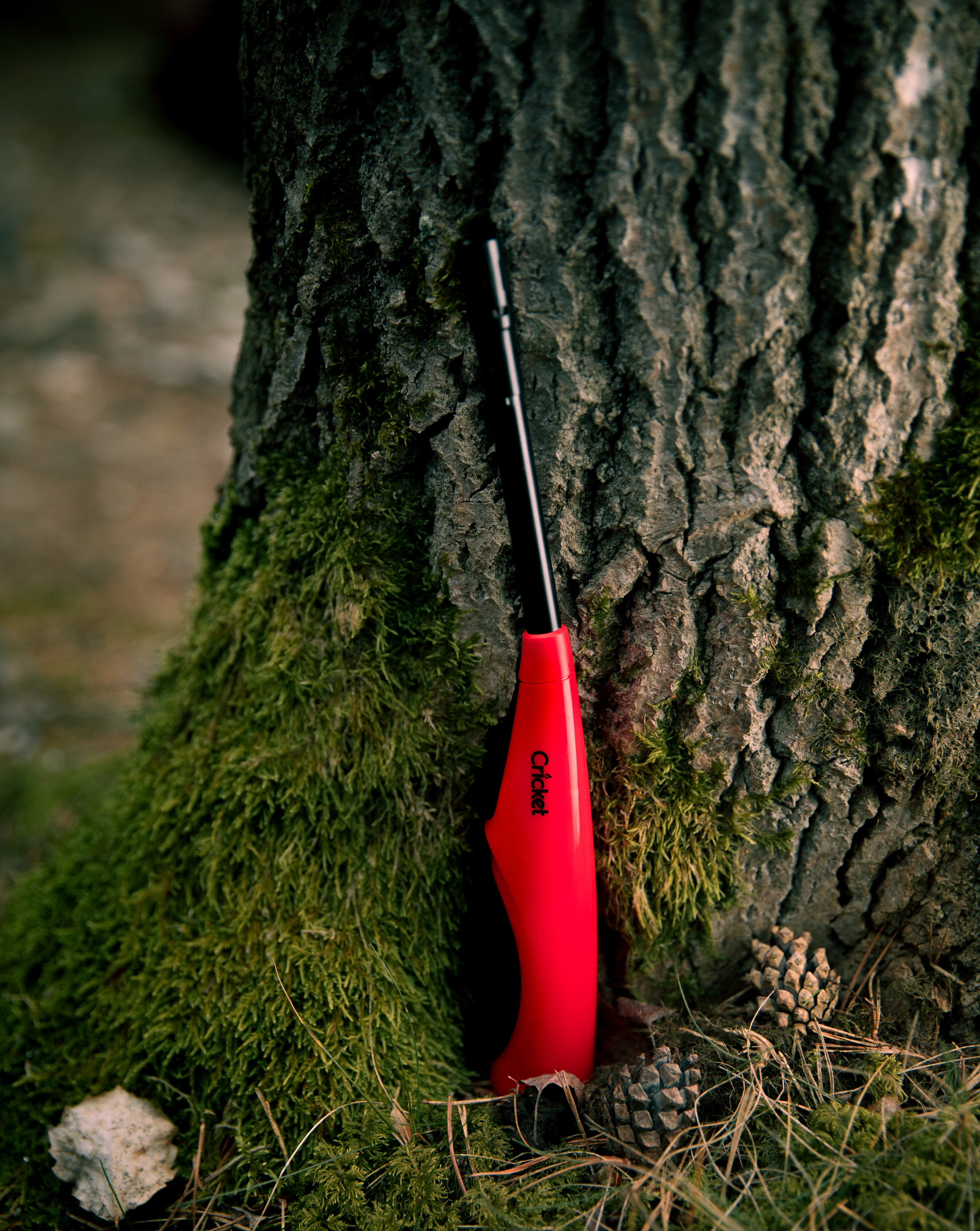 Cricket Utility Torch Flame Lighter featured in a forest-theme photography